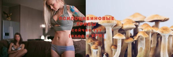 эйфоретик Белокуриха