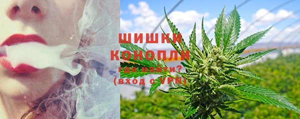 твердый Богородицк